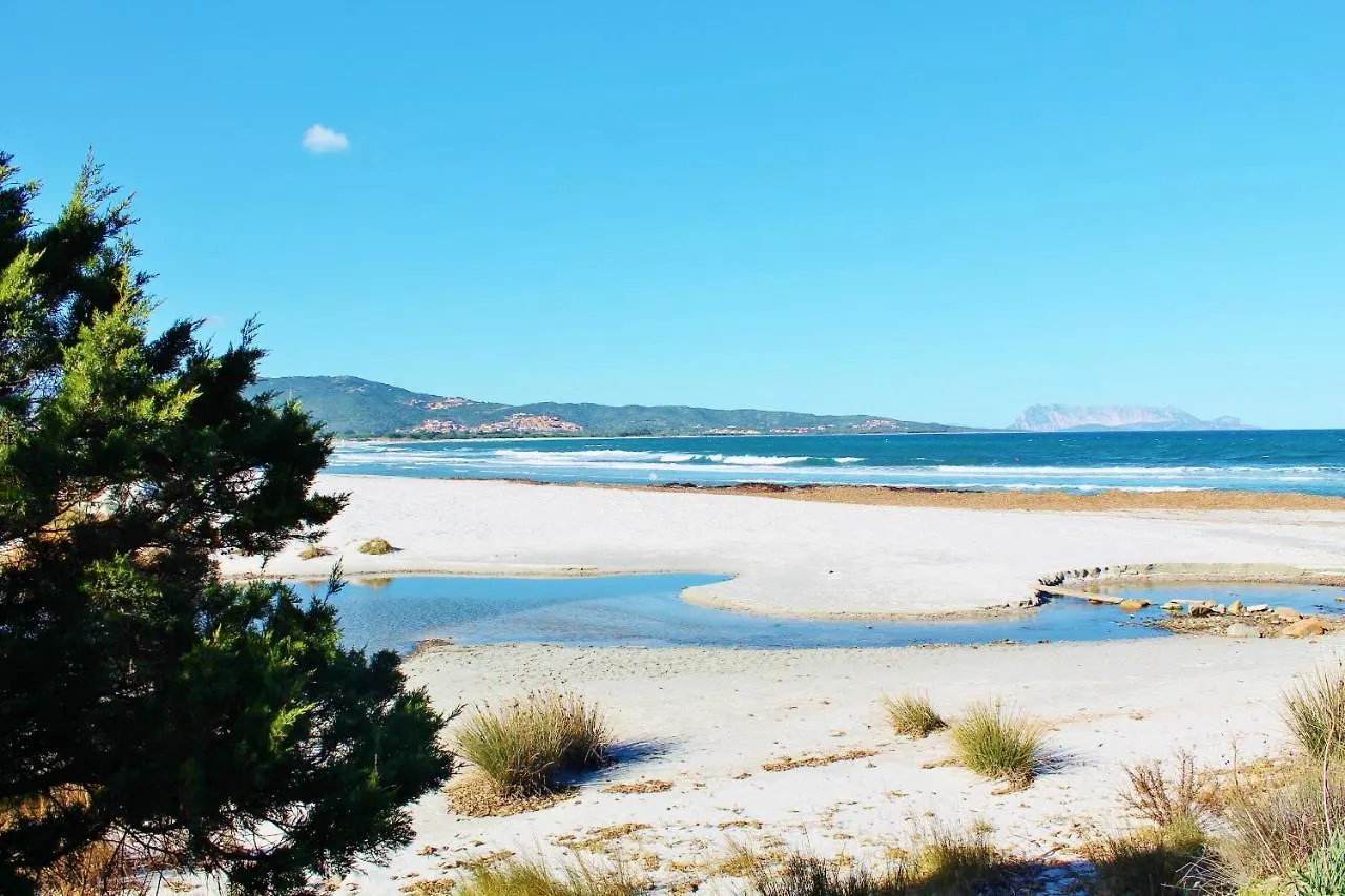 Porto Coda Cavallo Salina Bamba location